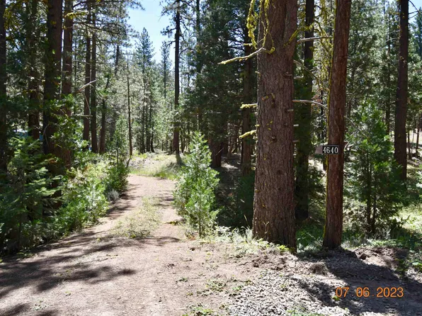 4640 Craig Rd, Portola, CA 96122