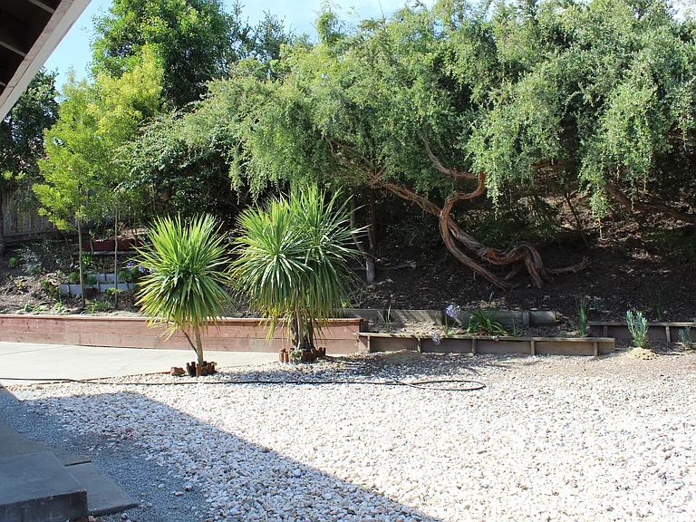 5 Manzanita Ct — Photo 27