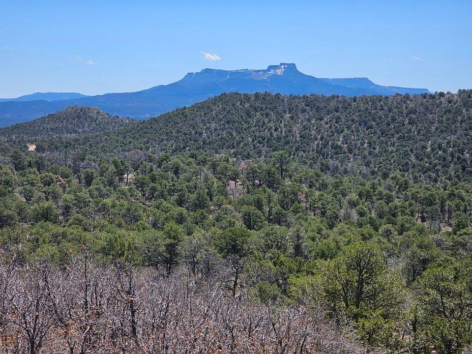 1st image of Cedar Dr #4