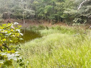 TRACT 91 County Rd #3106, Pittsburg, TX 75686