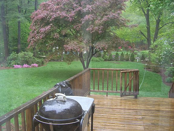 View From Kitchen Window