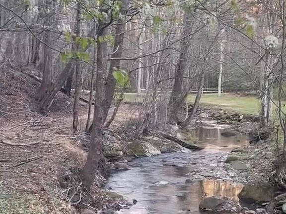 51st image of 480 Holder Cemetery Rd