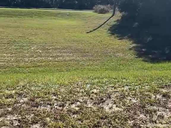 2nd image of 4017 SW 133rd Loop