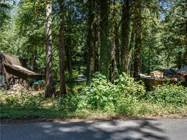 65065 E Lupine Dr, Rhododendron, OR 97049