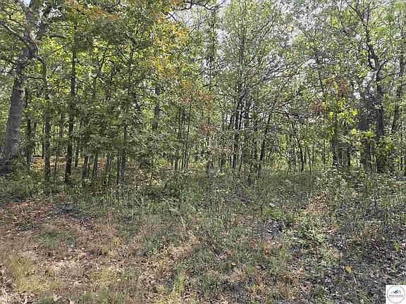 2nd image of Forbes Rd