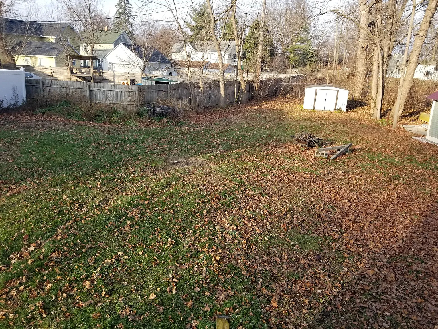 3 bed, 950 sqft, $2,000 — Photo 3
