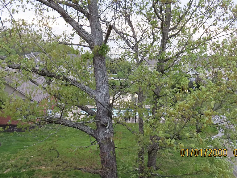 10559 Lynn Ln #12 — Photo 16