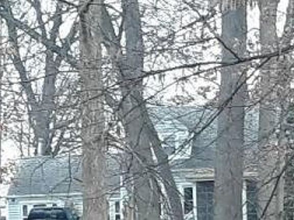 Property Rear View
