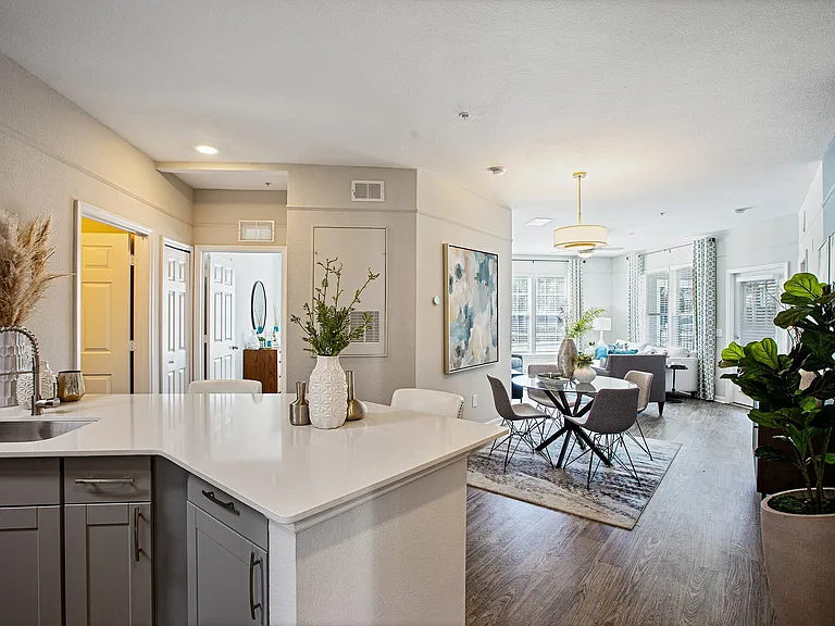 Kitchen View