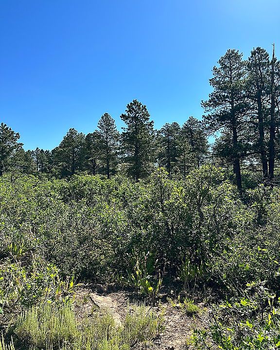 1st image of 4732 Forest Service Rd