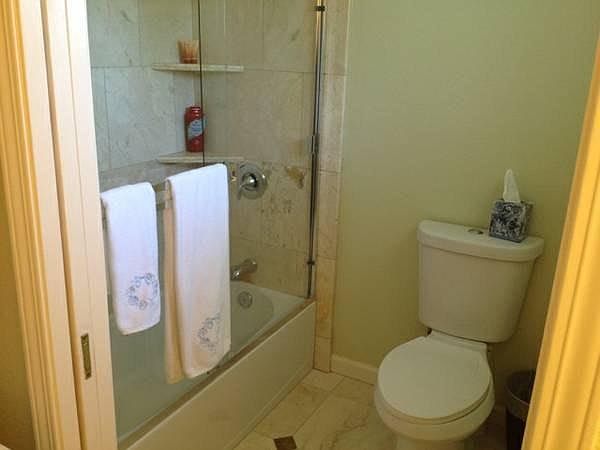 Shower and toilet separated by pocket door