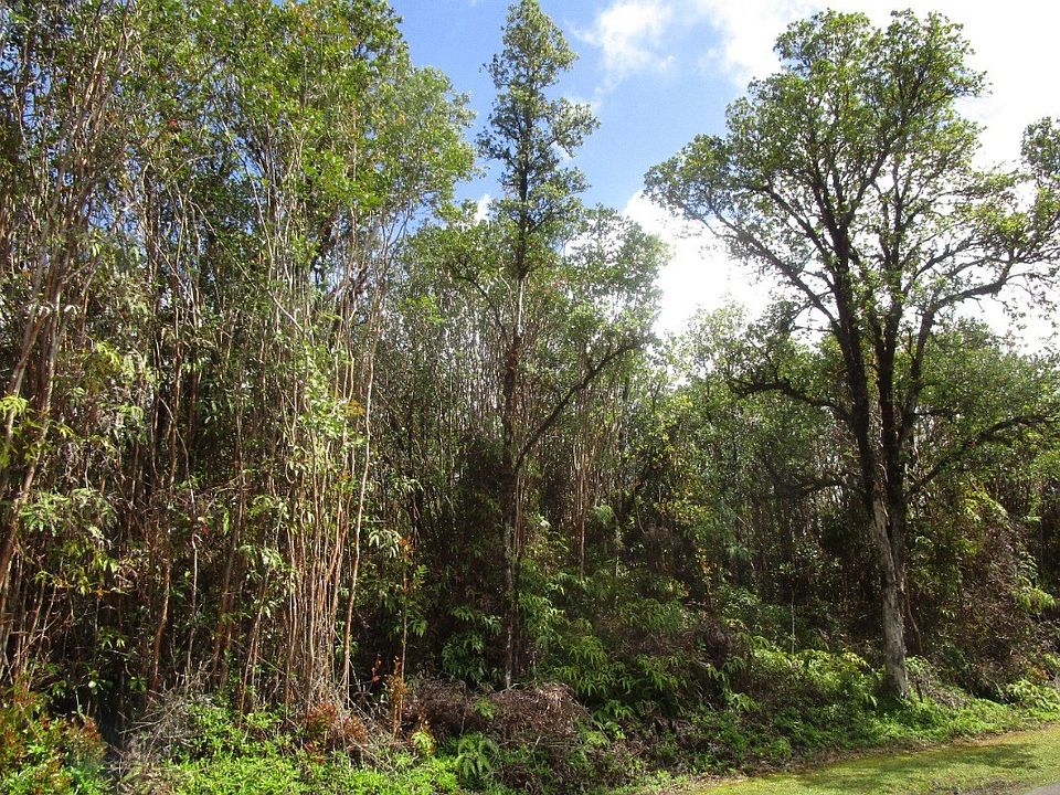 2nd image of Akala St Lot 54