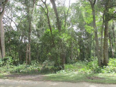 0 Monroe Ave, Brooksville, FL, 34604