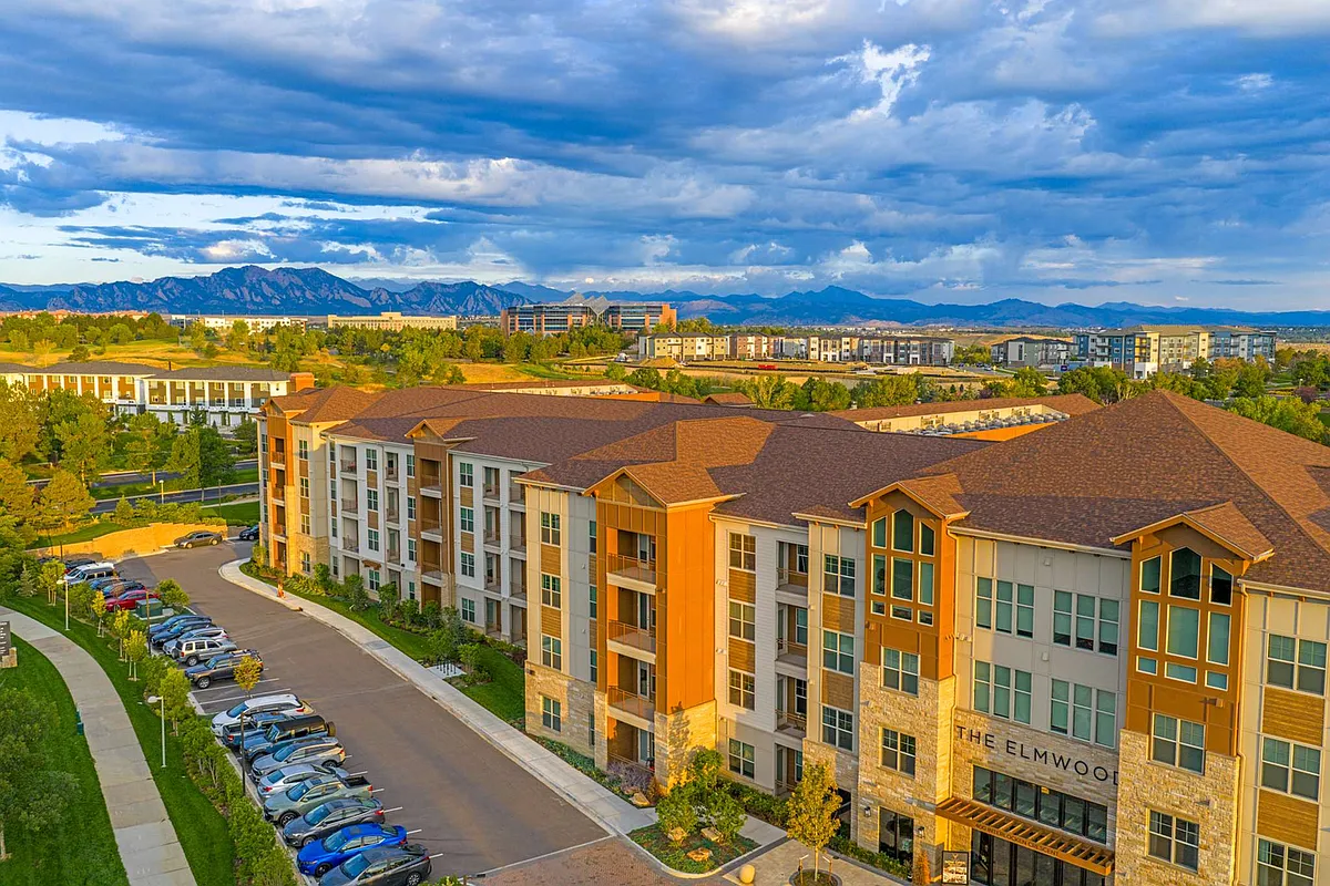 The Elmwood - The Elmwood