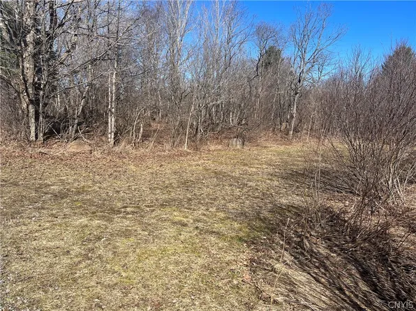 7975 Mile Square Rd #9, Copenhagen, NY 13626