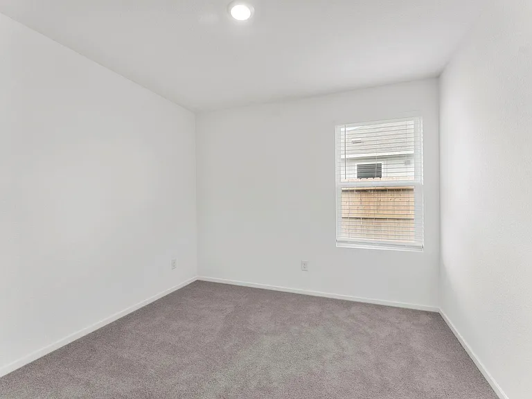 706 Umbrella Tree Dr — Photo 22