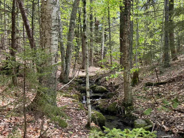 0 Snell Road, Chester, VT 05143