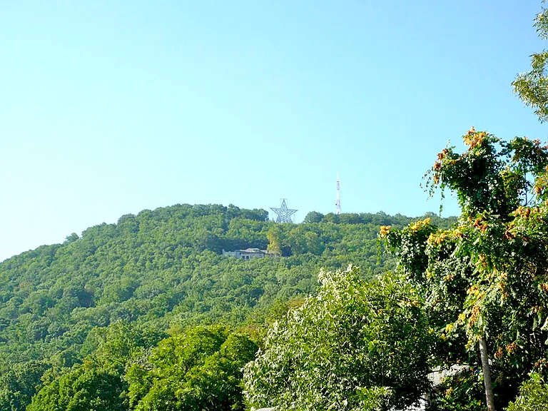 View of the Roanoke Star and Mill Mountain from the back yard