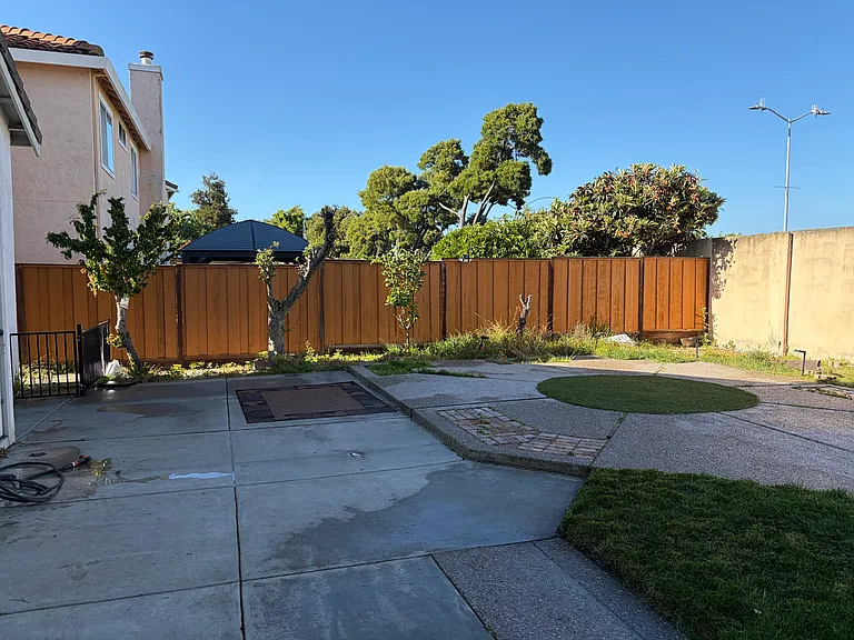 31224 Lamprey Dr — Photo 21