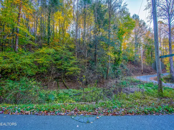 Long Hollow Rd, Sevierville, TN 37876