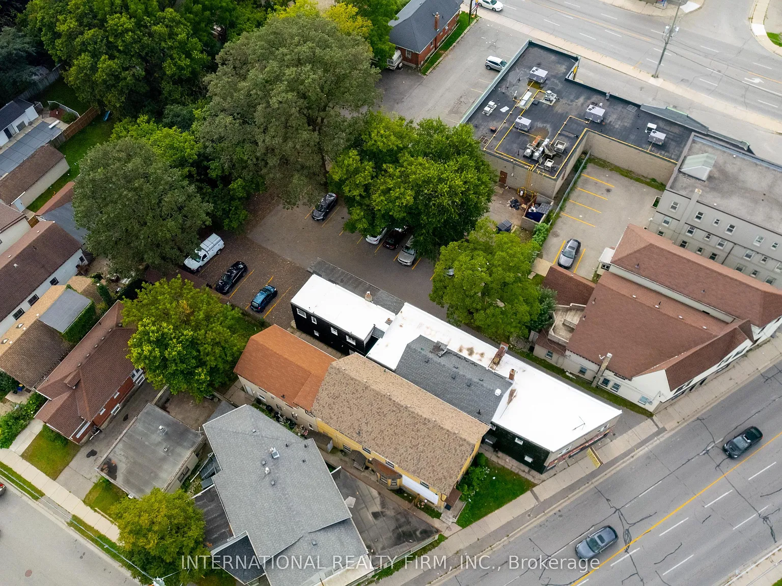 1 bed, $1,345 — Photo 4