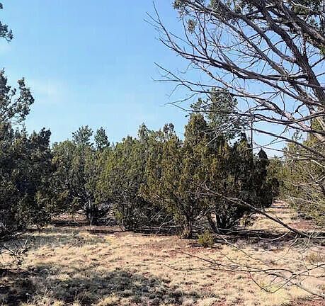 2nd image of 1462 E Barbara Rd