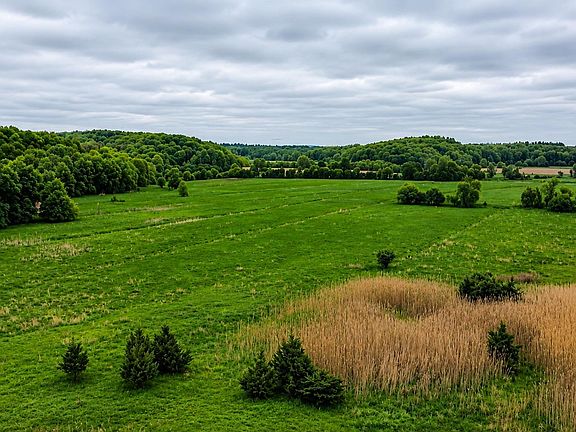 5th image of 492 Black Meadow Road
