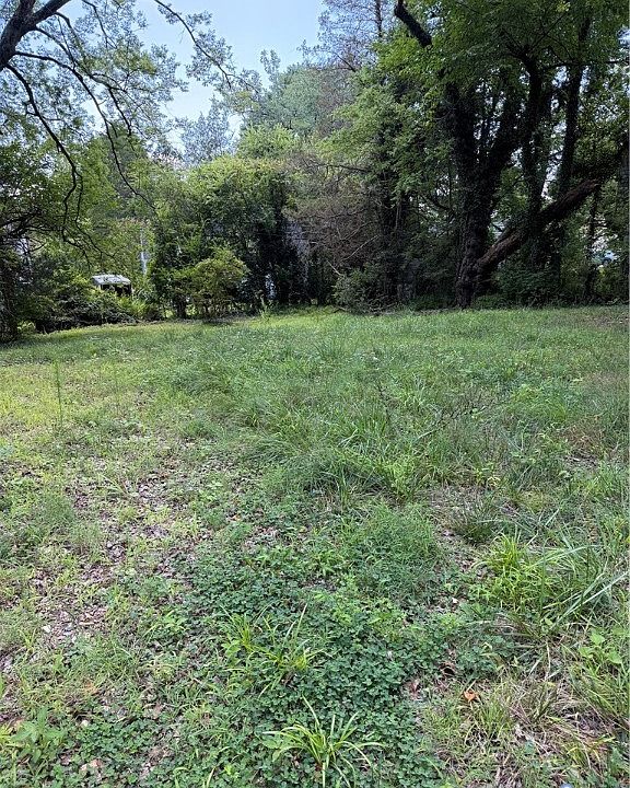 1st image of 706 Hamilton St Lot 20
