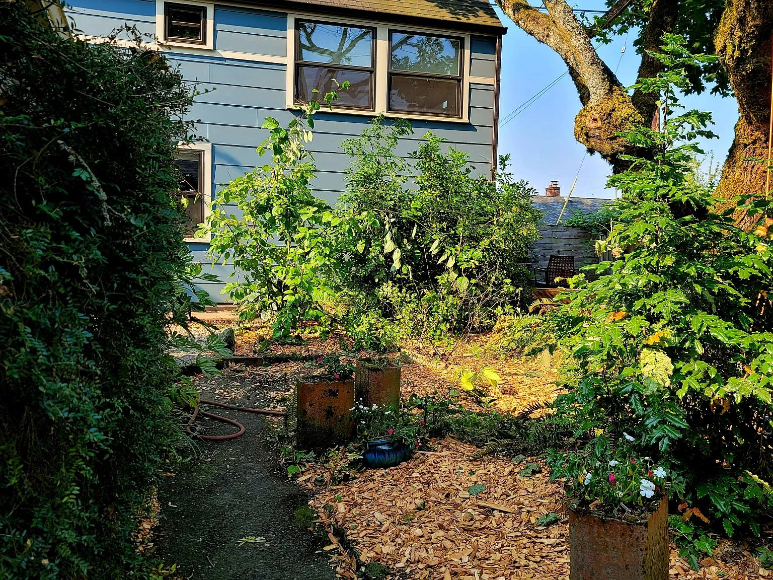 6510 N Amherst St — Photo 4