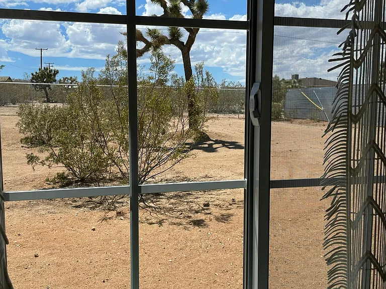 Backyard view of Joshua Tree from Queen Room 1