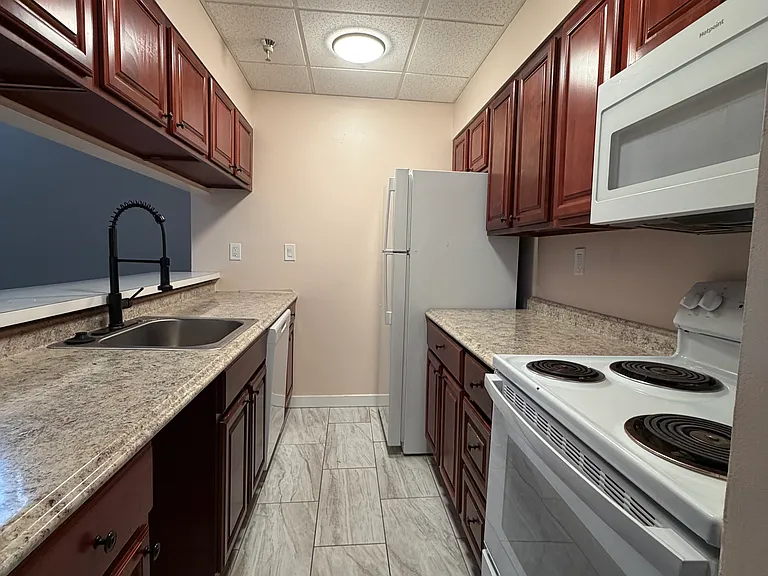 Apt 100 Kitchen