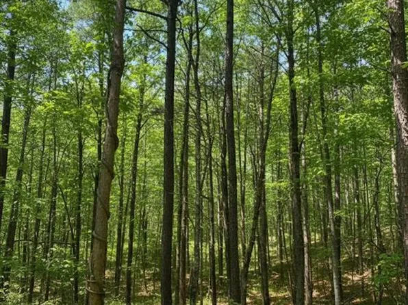 778 Timber Creek Trl S Lot 778, Broken Bow, OK 74728