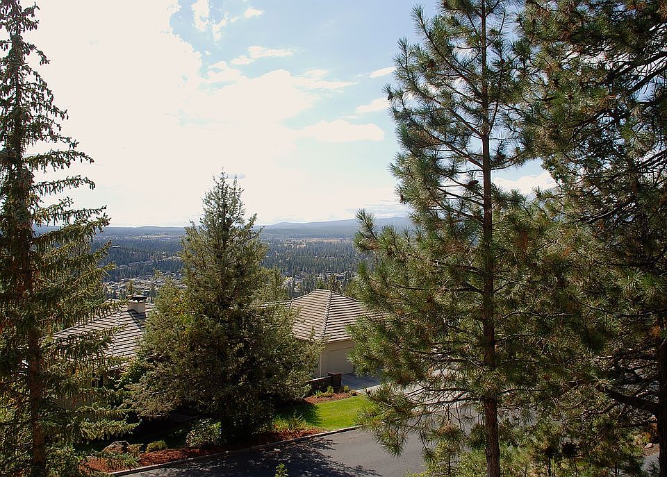 View from the deck/house