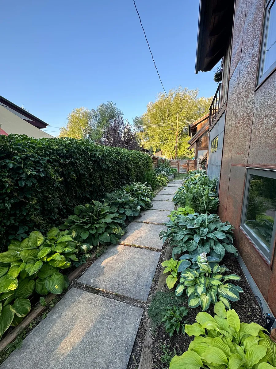 North side yard walkway - 380 Pearl St
