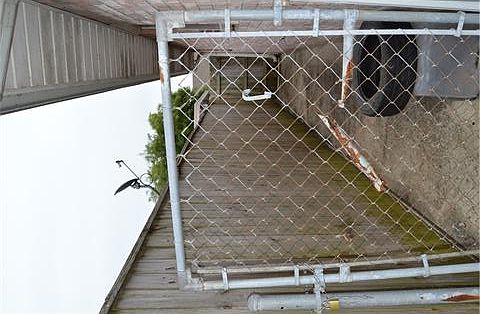 2nd image of 3902 Juno Dr