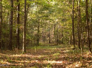 Lake View Golf Course Rd, Meridian, MS 39301