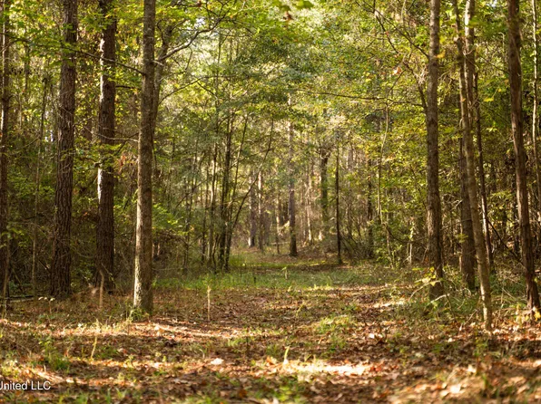 Lake View Golf Course Rd, Meridian, MS 39301