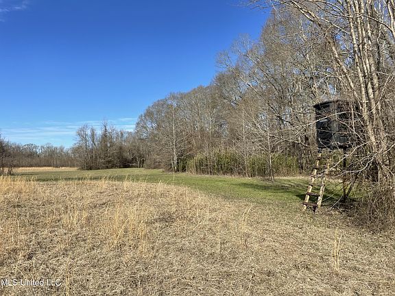 2nd image of 0 Highway 469 N
