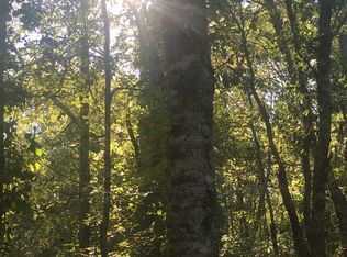 Green Spence Rd, Midville, GA 30441