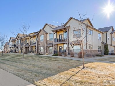 6618 Crystal Downs Dr #202, Windsor, CO, 80550