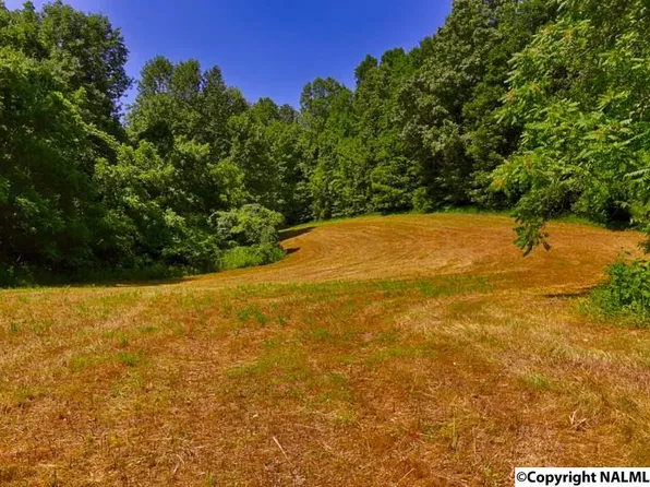 Chestnut Grove Rd, Pulaski, TN 38478