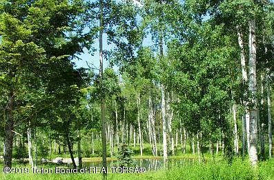 1st image of 1 Blackfoot Trl