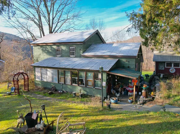 441 Old Union Rd, Equinunk, PA 18417