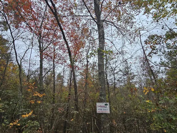 3 County Road 60, Gaylesville, AL 35973