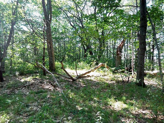 4th image of 10 Bufflehead Cove Ln