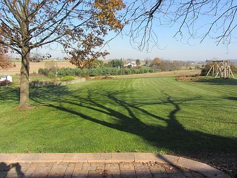 backyard view