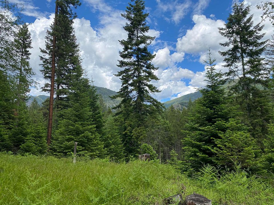 1st image of Nhn Graves Creek Loop