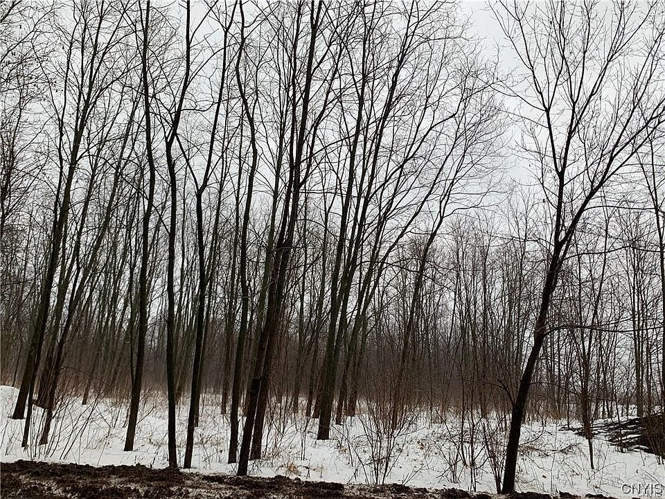 1st image of 0 Fenton St #15