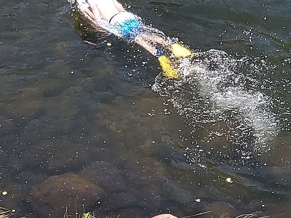 4th image of 848 Burlando Rd