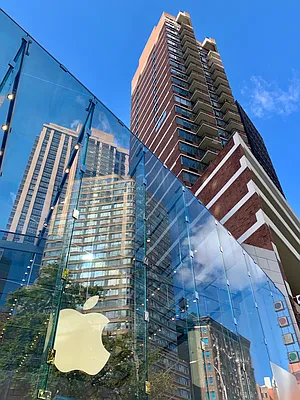 Rented by Douglas Elliman | media 4